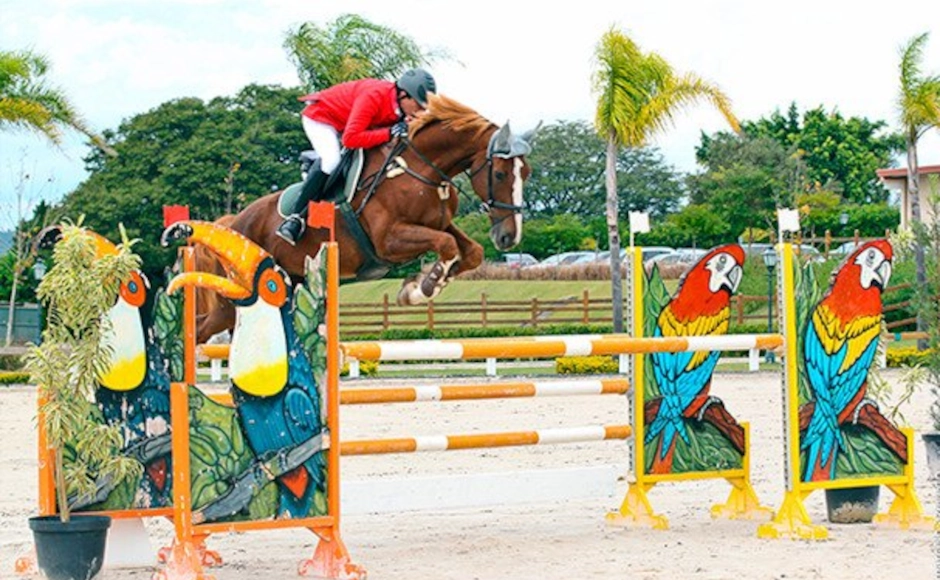 Heaven Insurance Consultants - Health Insurance Service in Wellington & Equestrian